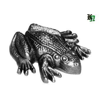 6299_jp5_001.jpg