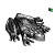 6299_jp5_001.jpg